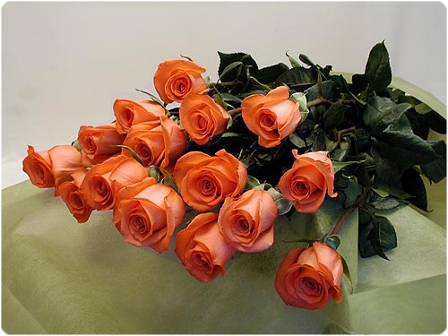 С праздником<br />
<p align=