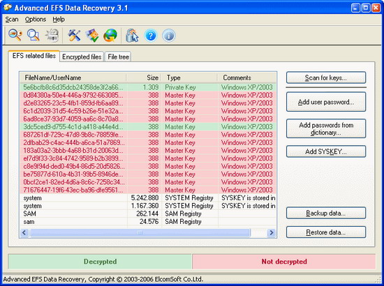 Защита Microsoft EFS пройдена