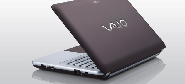 Vaio W