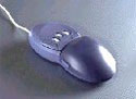mouse_17.jpg