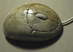 mouse_36.jpg mouse_36.jpg