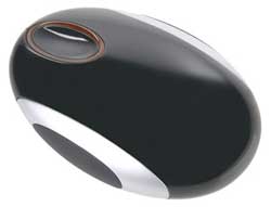 mouse_38.jpg mouse_38.jpg