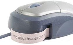 mouse_43.jpg mouse_43.jpg