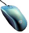 mouse_49.jpg mouse_49.jpg