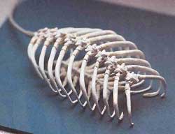 mouse_51.jpg mouse_51.jpg